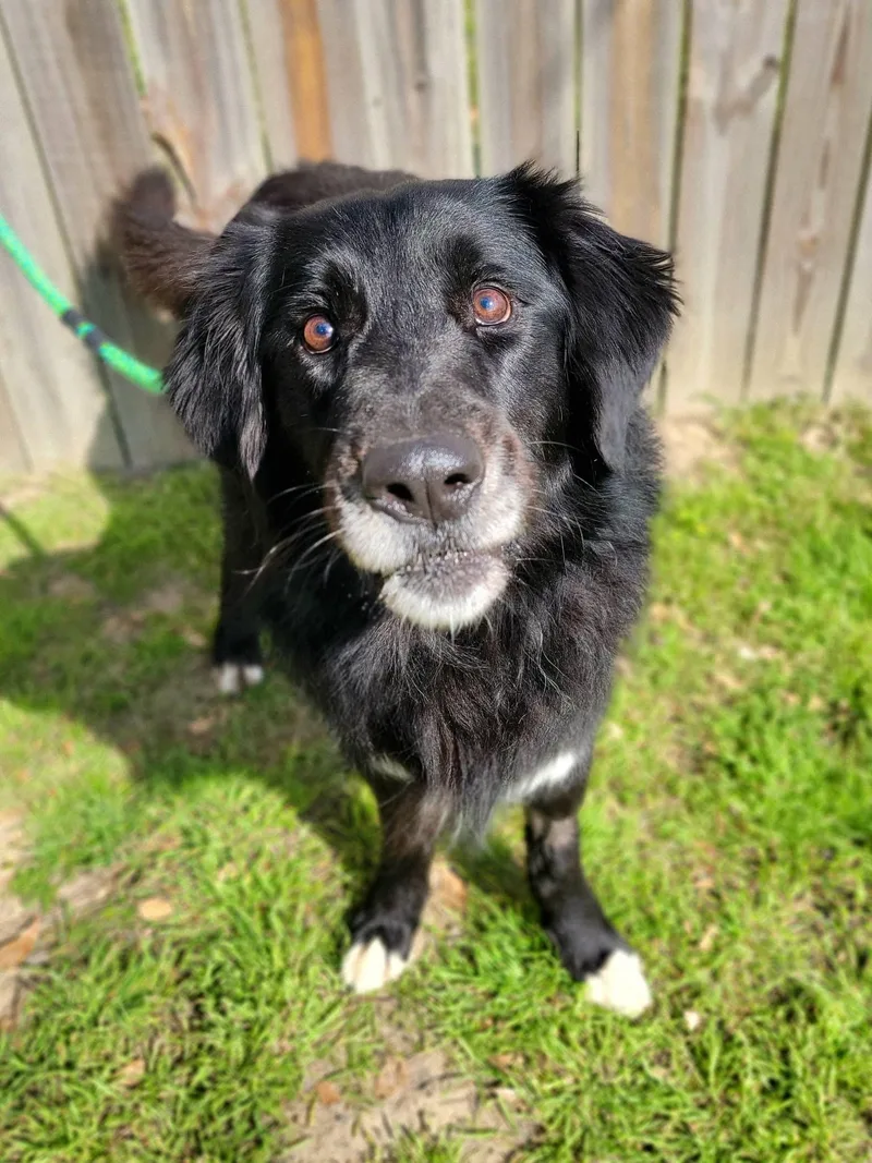 Blind Bob thumbnail 4