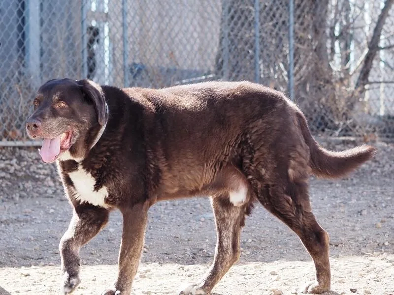 Superman thumbnail 3