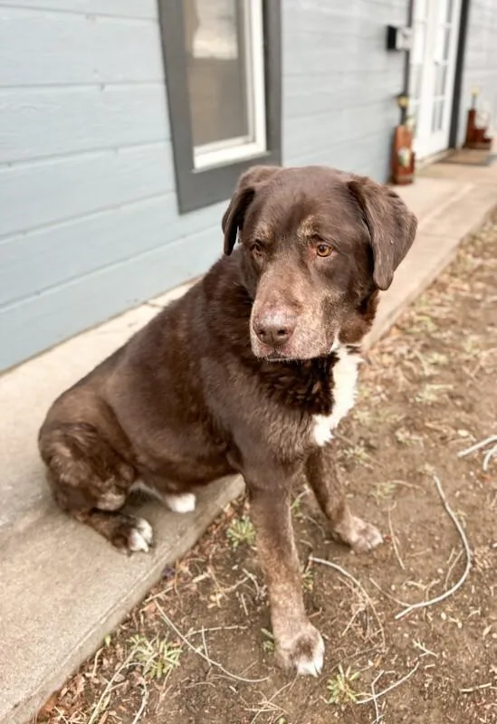 Superman thumbnail 6