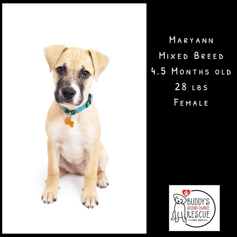 Mary Anne thumbnail 2