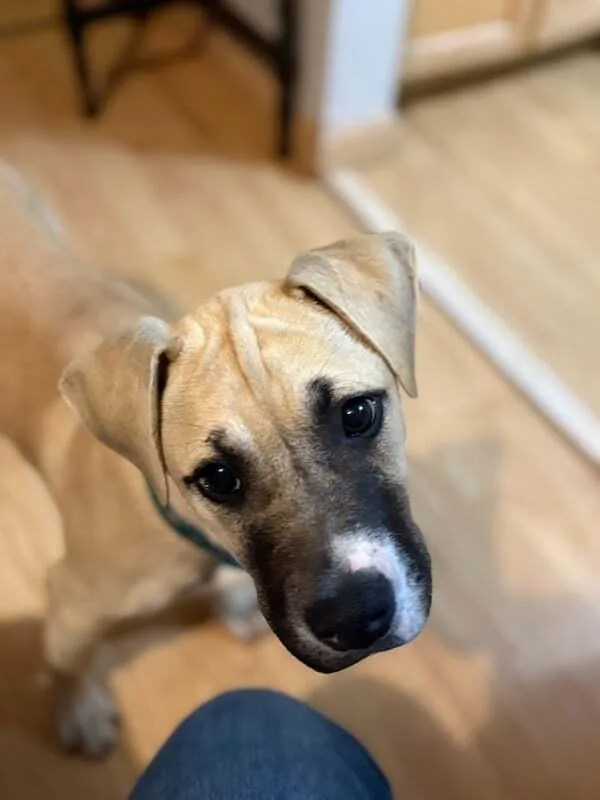 Mary Anne thumbnail 3