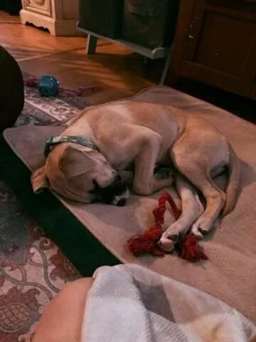 Mary Anne thumbnail 4