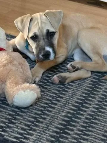 Mary Anne thumbnail 6