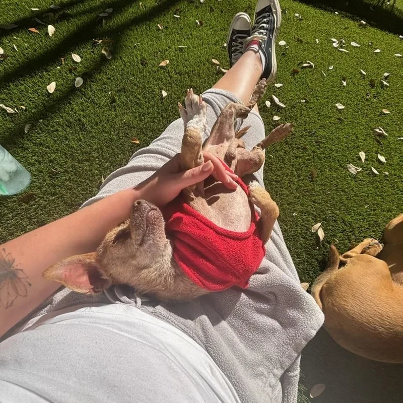 Freddy The Sweetest Snuggler thumbnail 2