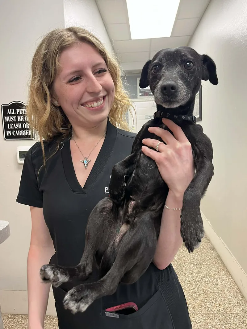 Ollie The Og thumbnail 3