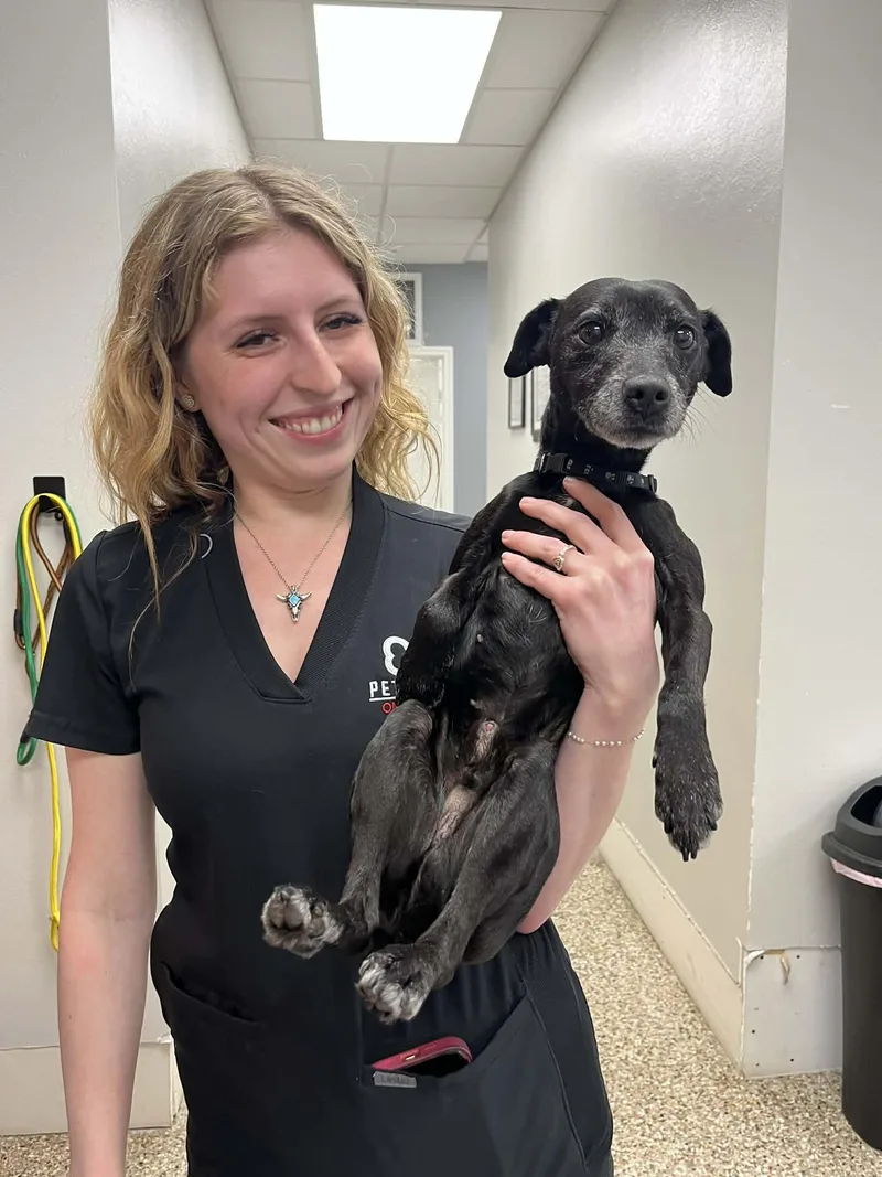 Ollie The Og thumbnail 5