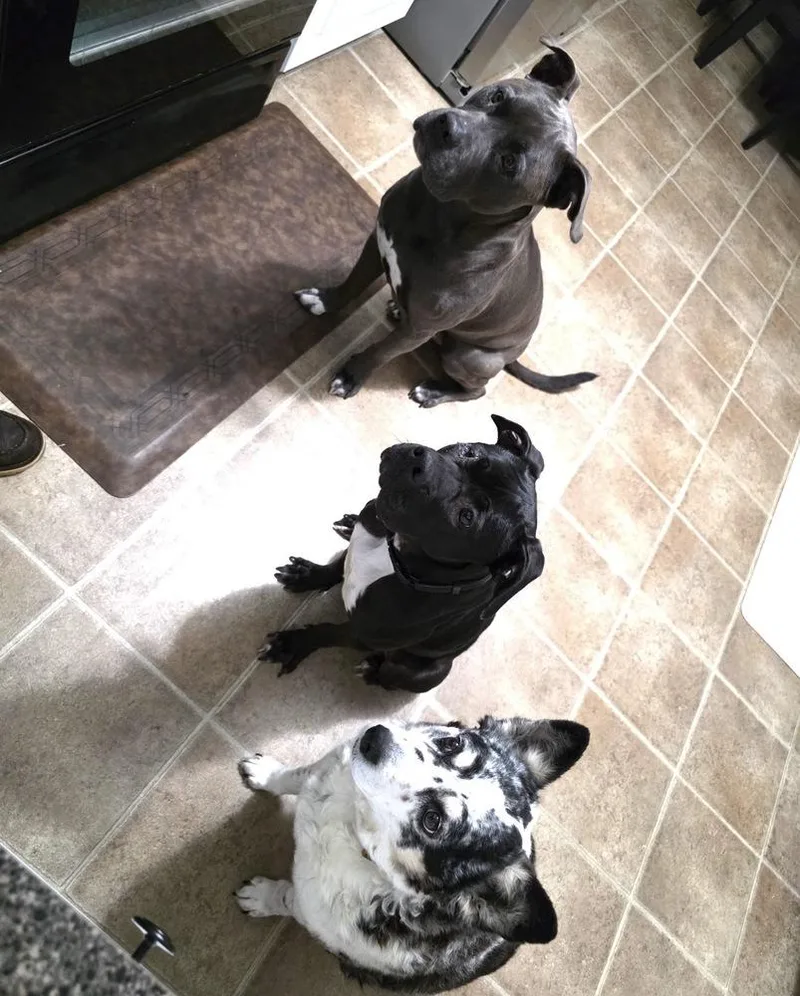 Sweet Stella thumbnail 2