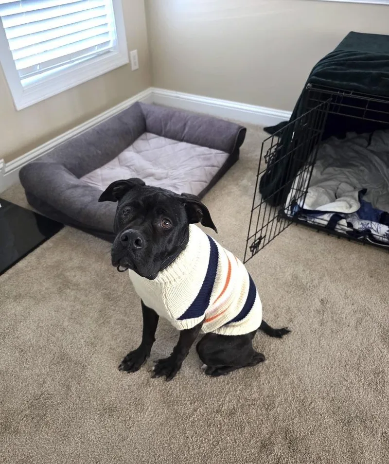 Sweet Stella thumbnail 5