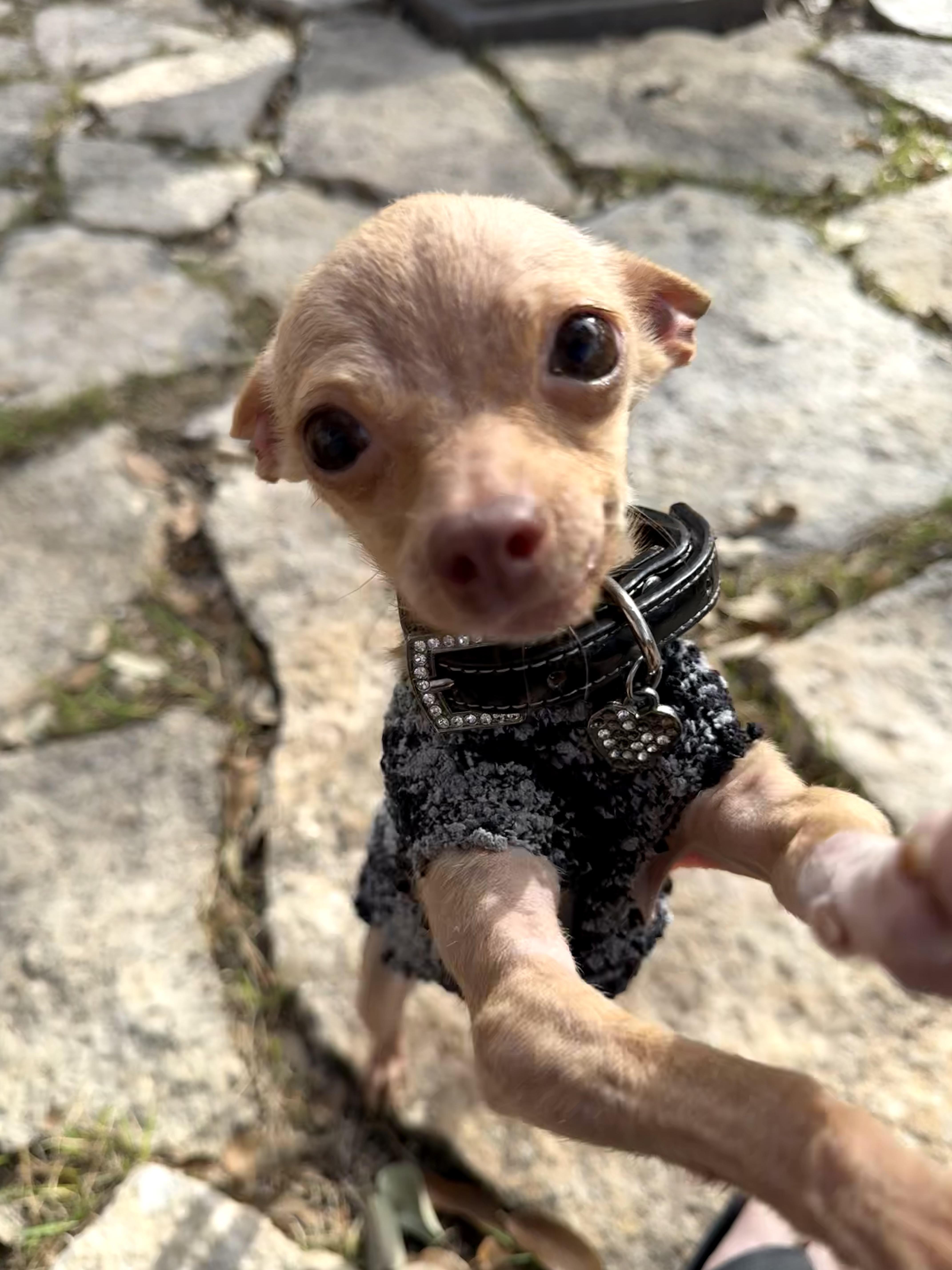 Pip Is . Pounds thumbnail 2