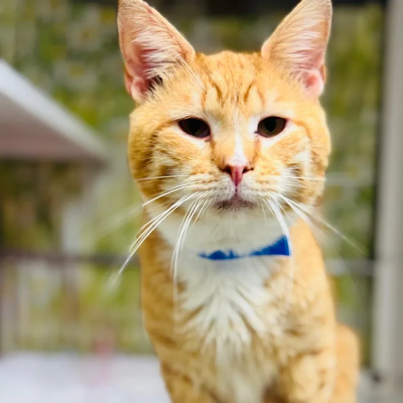 Geography thumbnail 2