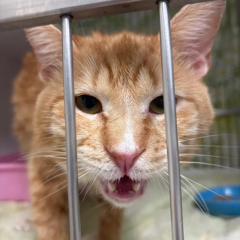 Geography thumbnail 3