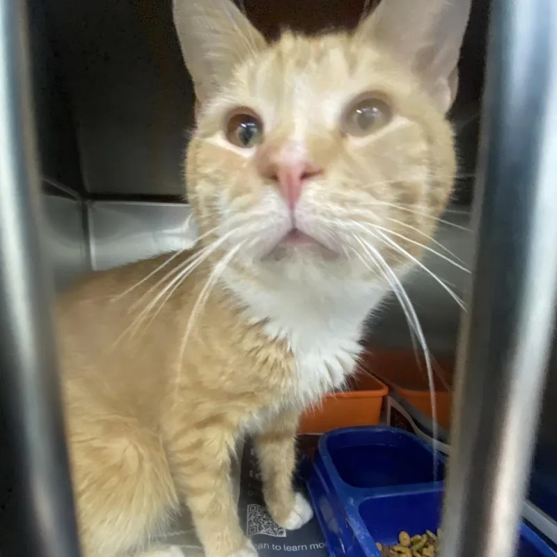 Geography thumbnail 4