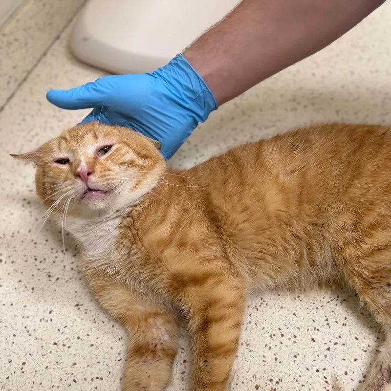 Geography thumbnail 5