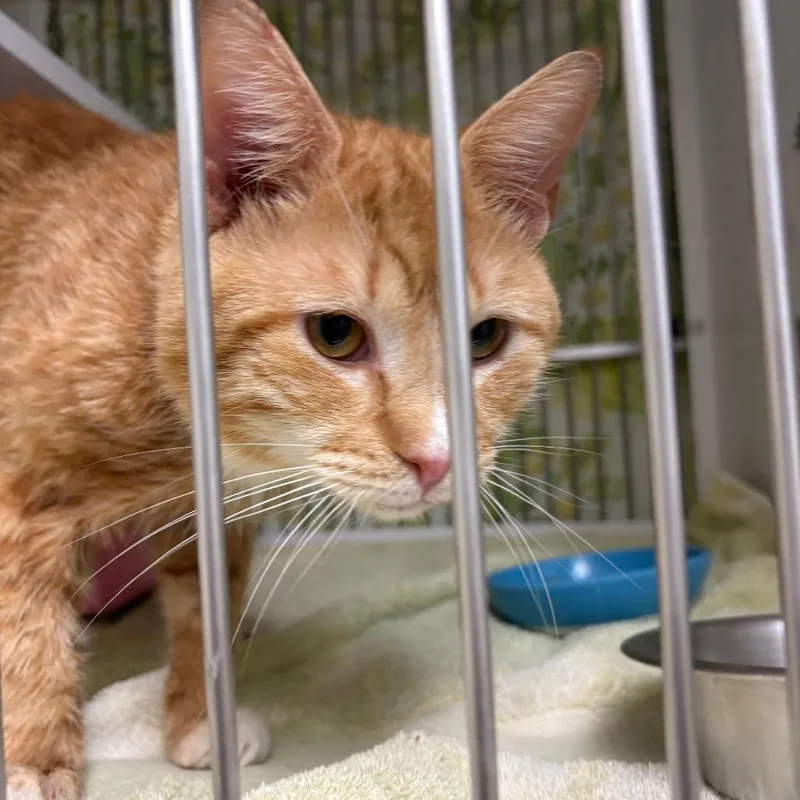 Geography thumbnail 6