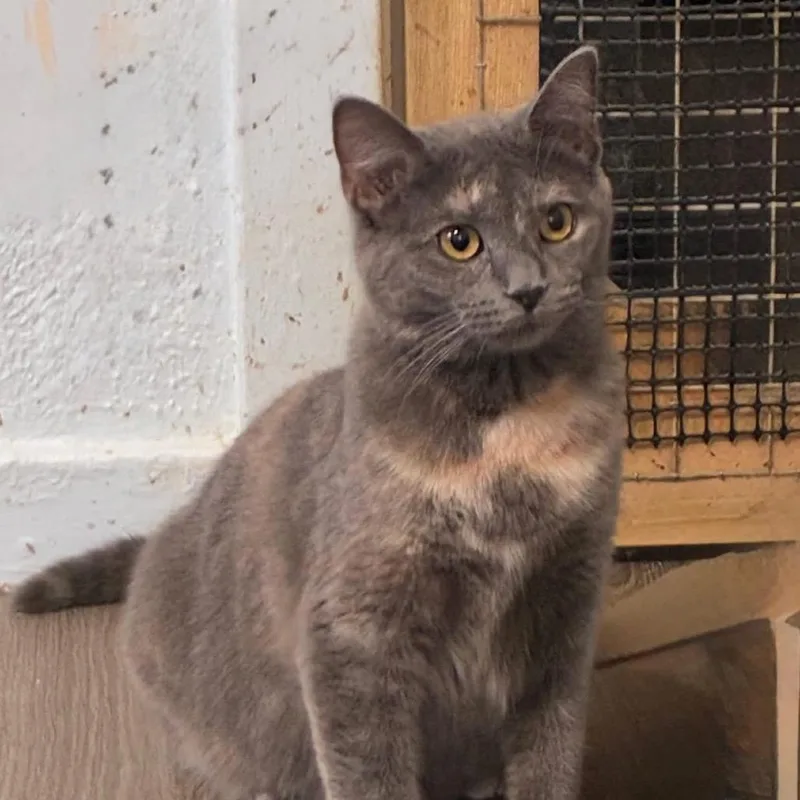 Pistachio thumbnail 2