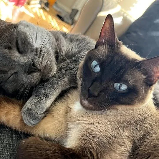 Luna And Lennon thumbnail 4