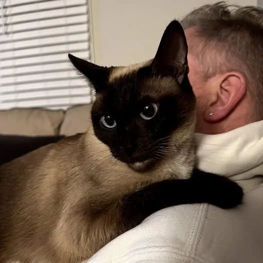 Luna And Lennon thumbnail 5