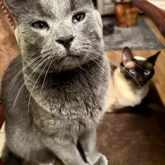 Luna And Lennon thumbnail 6