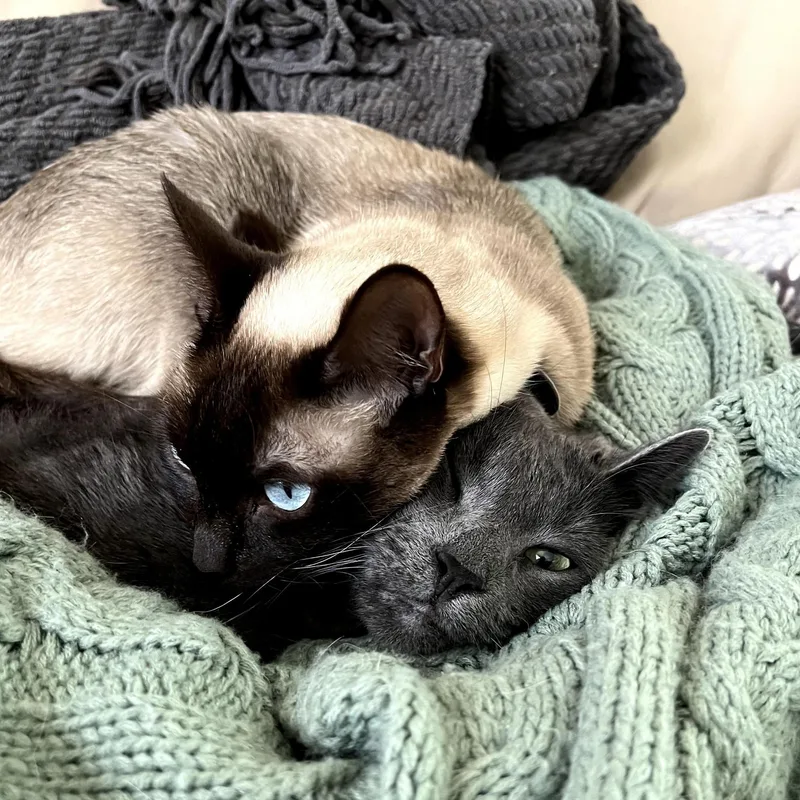 Luna And Lennon