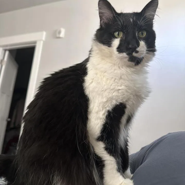 Trixie Harris thumbnail 2