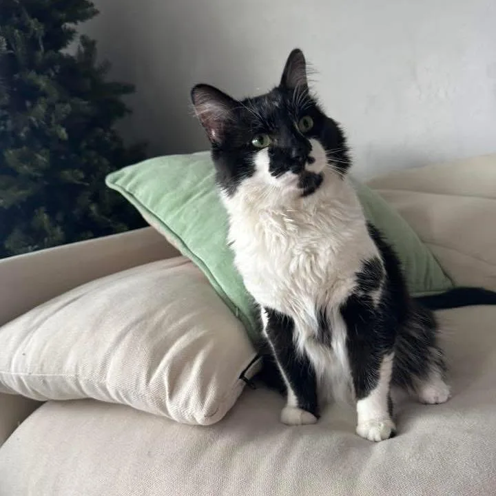 Trixie Harris thumbnail 3