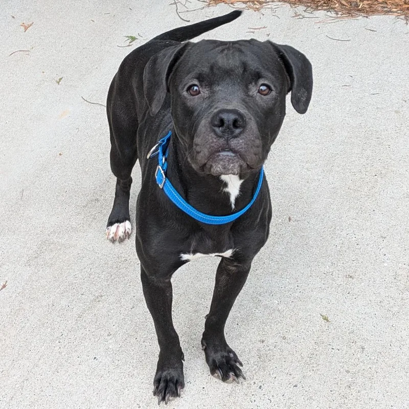 Isabelle thumbnail 5