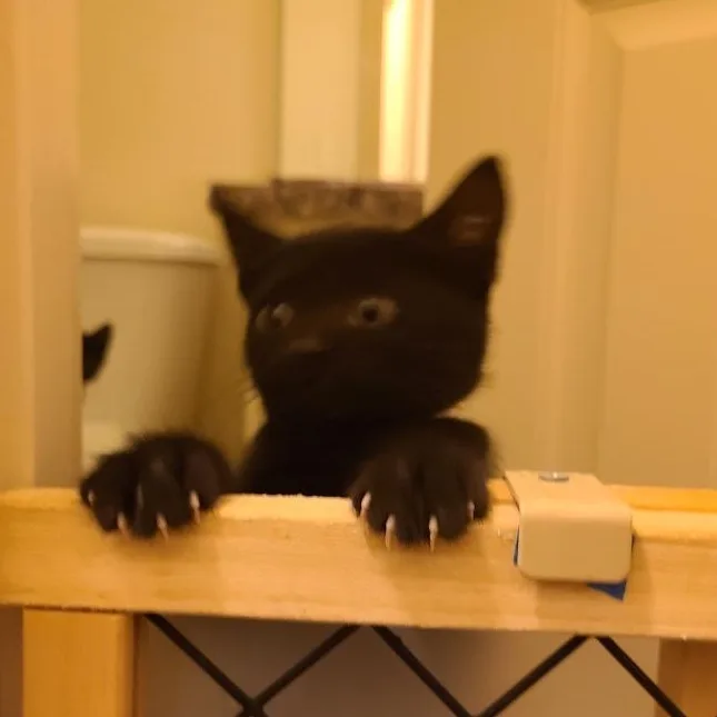 Serendipity  Athens  thumbnail 2