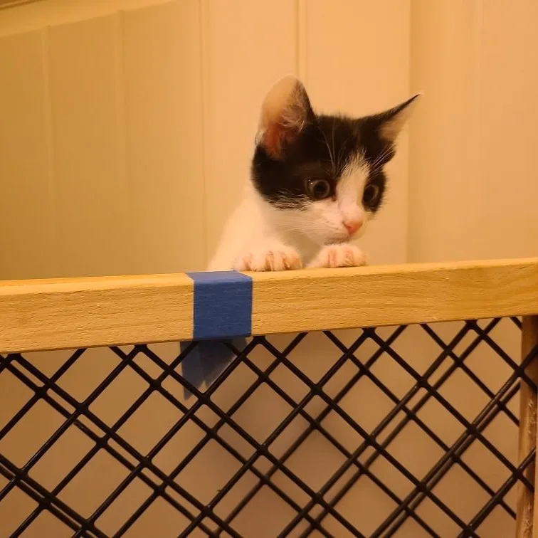 Providence  Athens  thumbnail 2