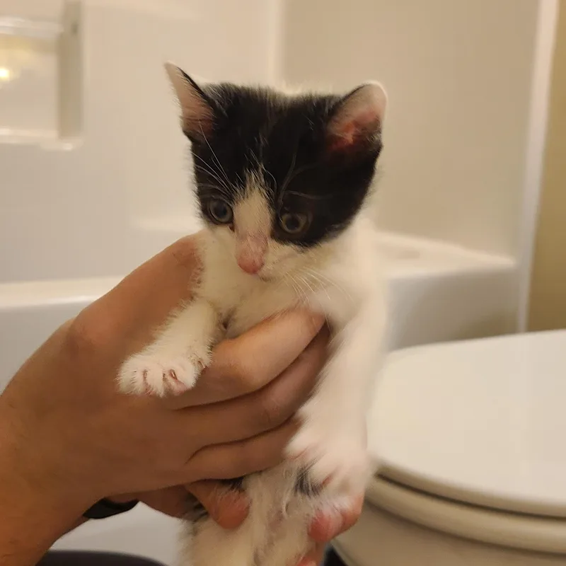 Providence  Athens  thumbnail 4