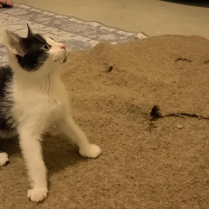 Providence  Athens  thumbnail 5