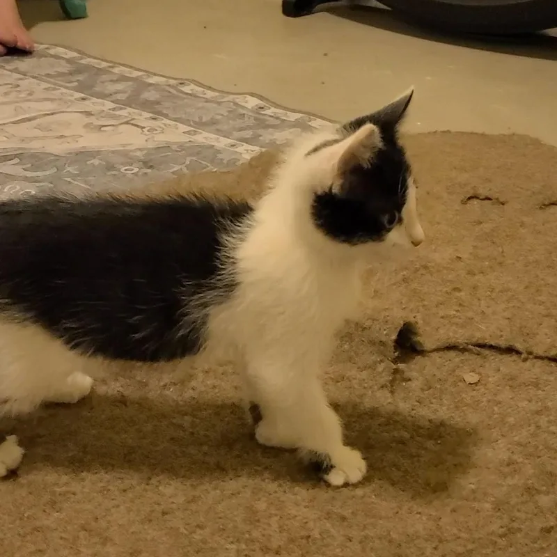 Providence  Athens  thumbnail 6