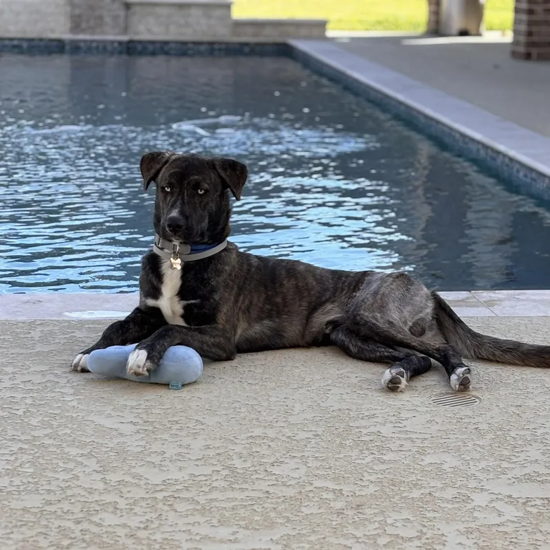 Leonardo thumbnail 2