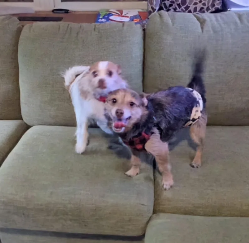 Theodore thumbnail 2