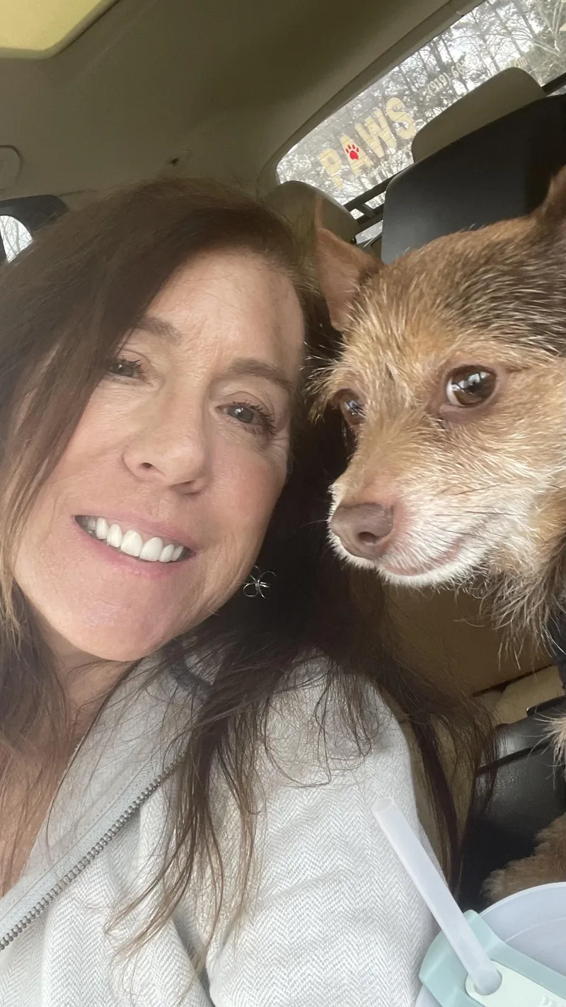 Theodore thumbnail 3