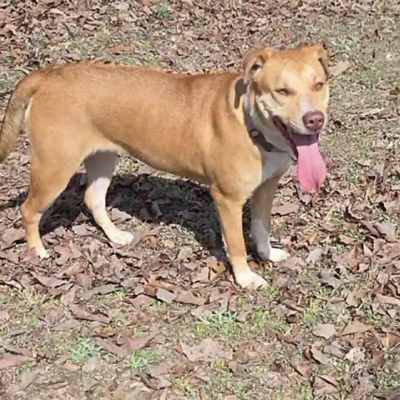 Pretty Girl thumbnail 3