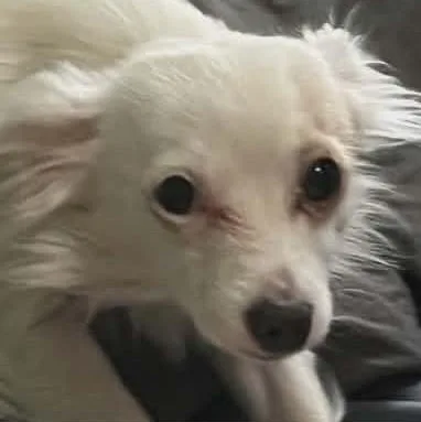 Tiny And Lilbit Bonded thumbnail 2