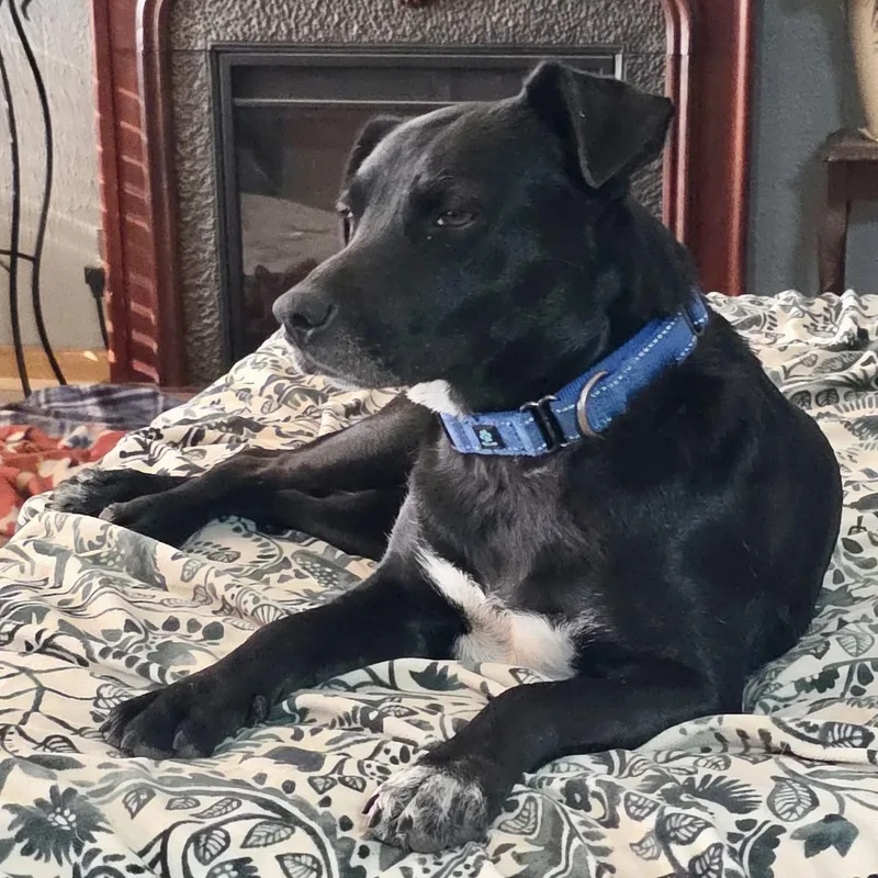 Juliette thumbnail 2