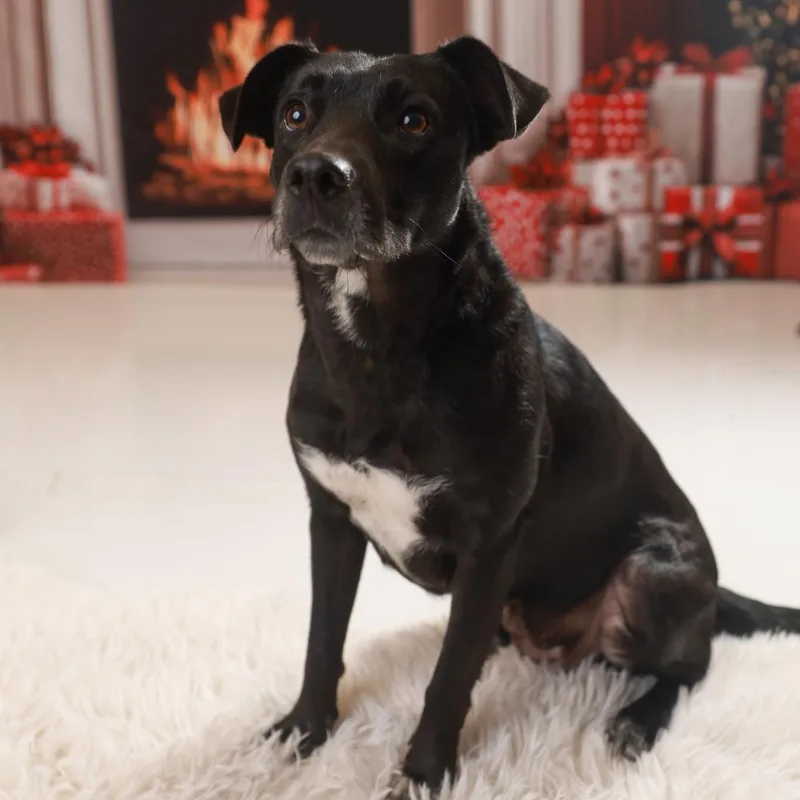 Juliette thumbnail 4