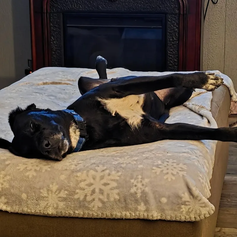 Juliette thumbnail 5