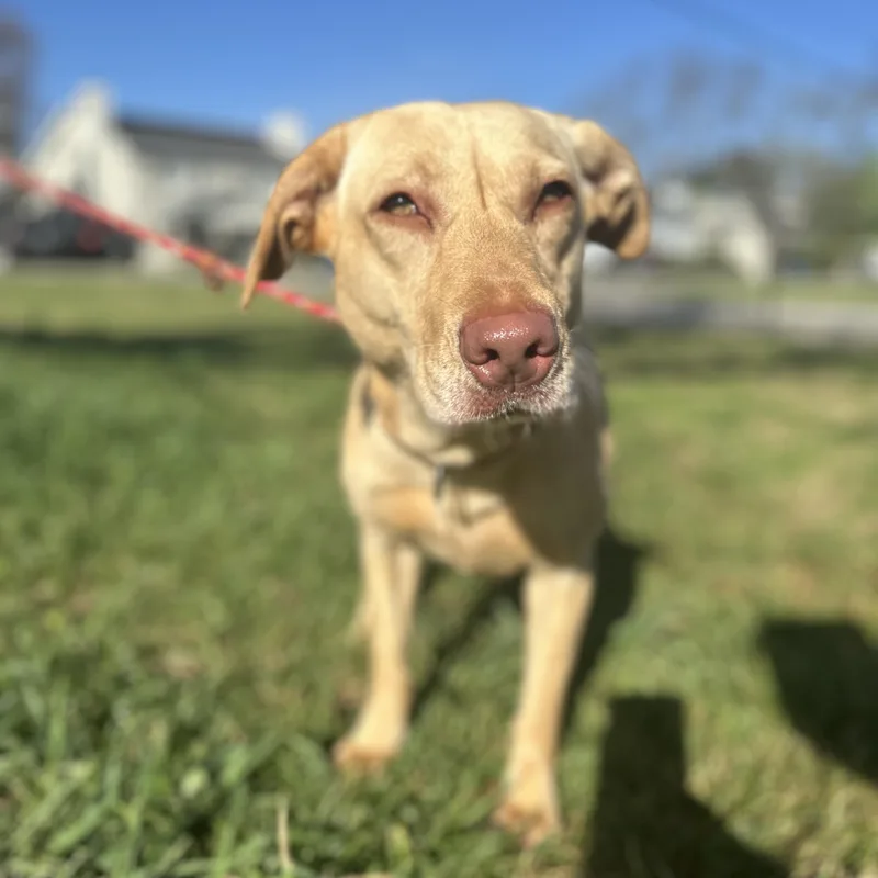 Clarkson thumbnail 2