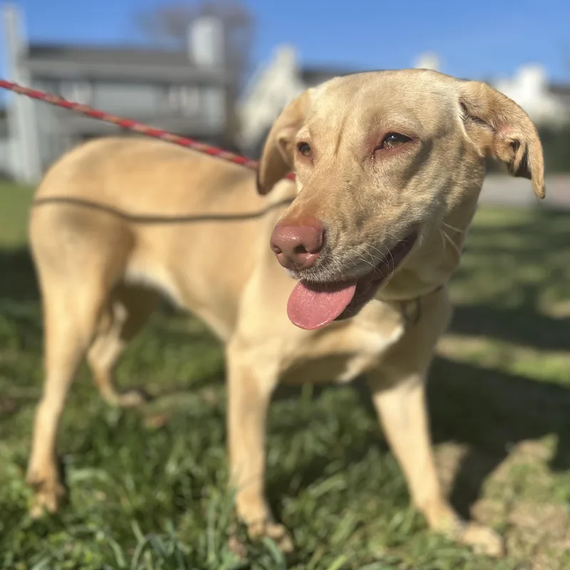 Clarkson thumbnail 4