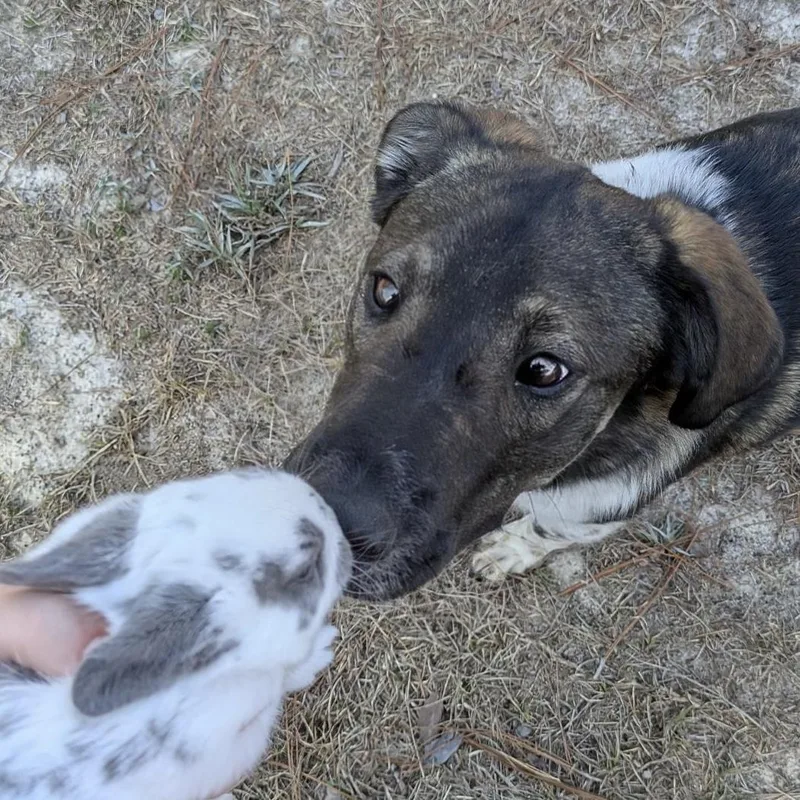 Stonyfield thumbnail 2