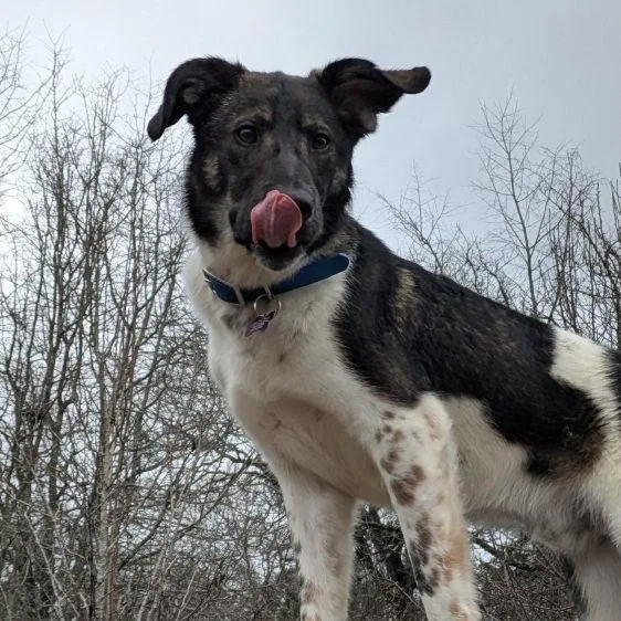 Stonyfield thumbnail 3