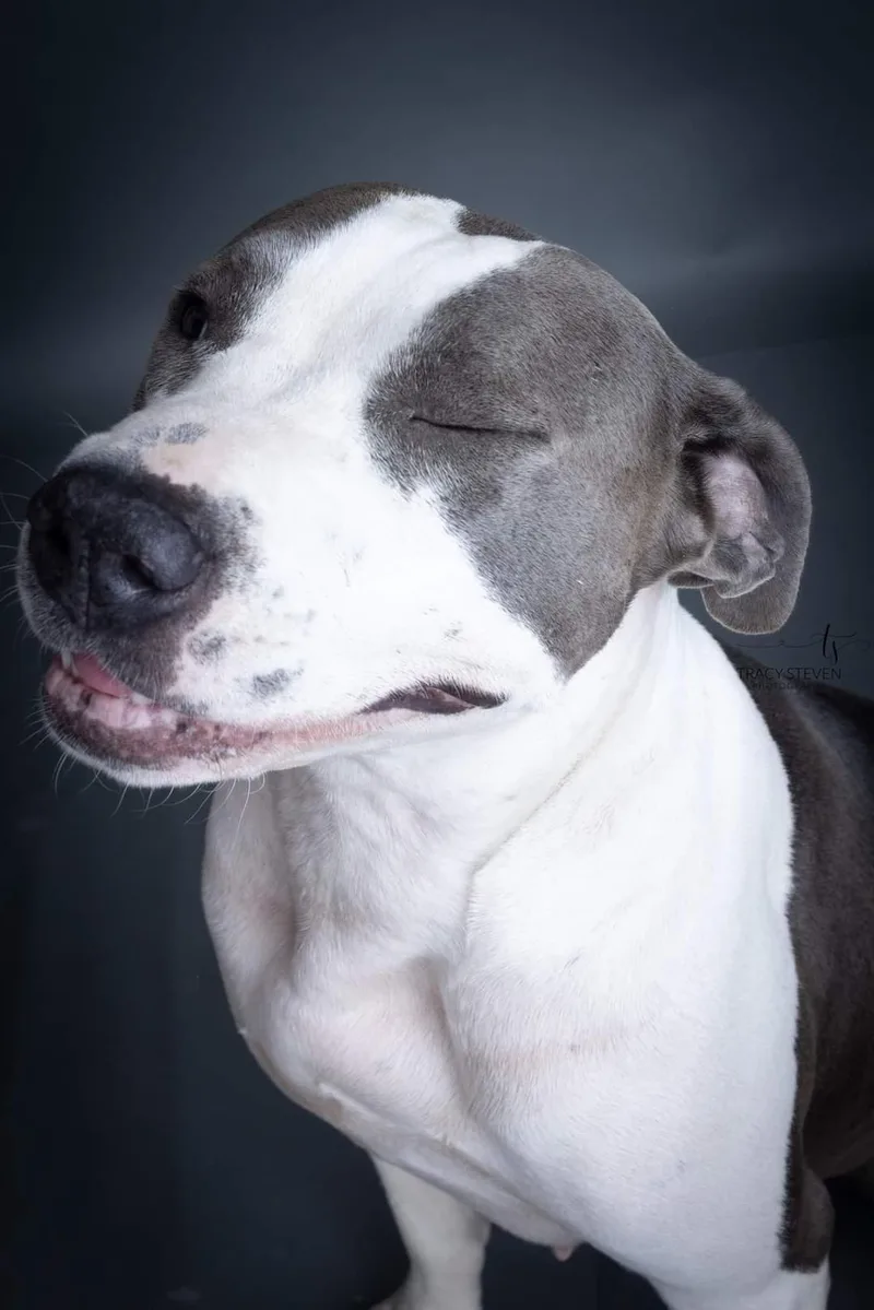 Big Mama thumbnail 3