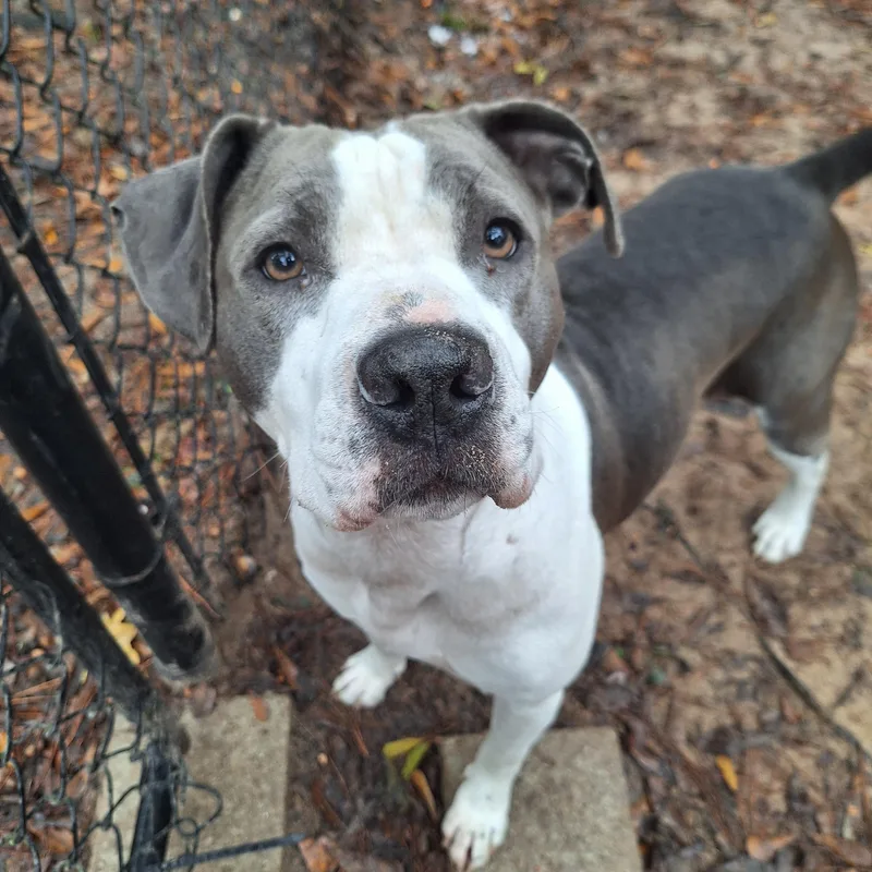 Big Mama thumbnail 4