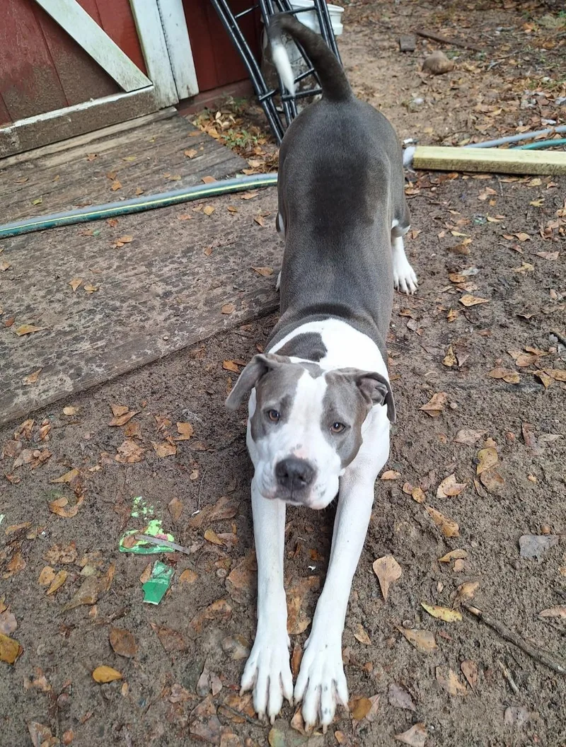 Big Mama thumbnail 6