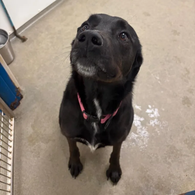 Florence thumbnail 2