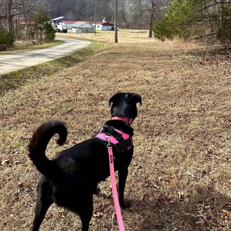 Florence thumbnail 3