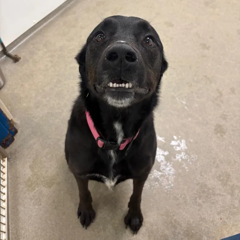 Florence thumbnail 4