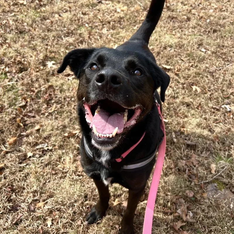 Florence thumbnail 5